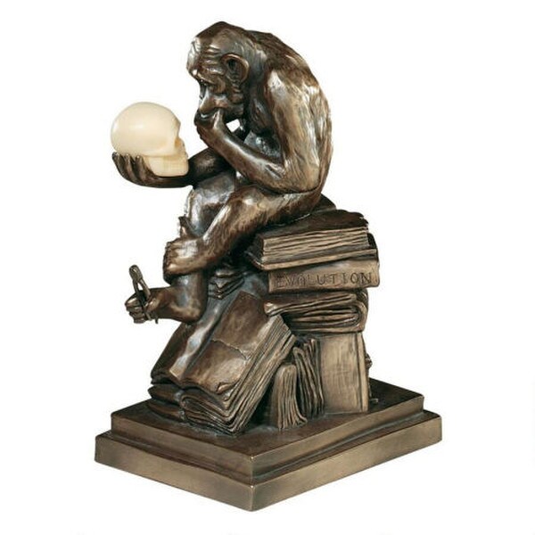 Darwins Ape Sculpture Monkey Holding Skull Statue Replicas Reproductins